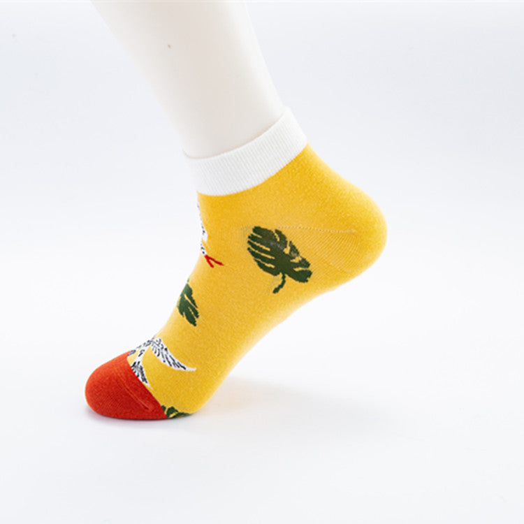 Colorful Low Cut Socks - David