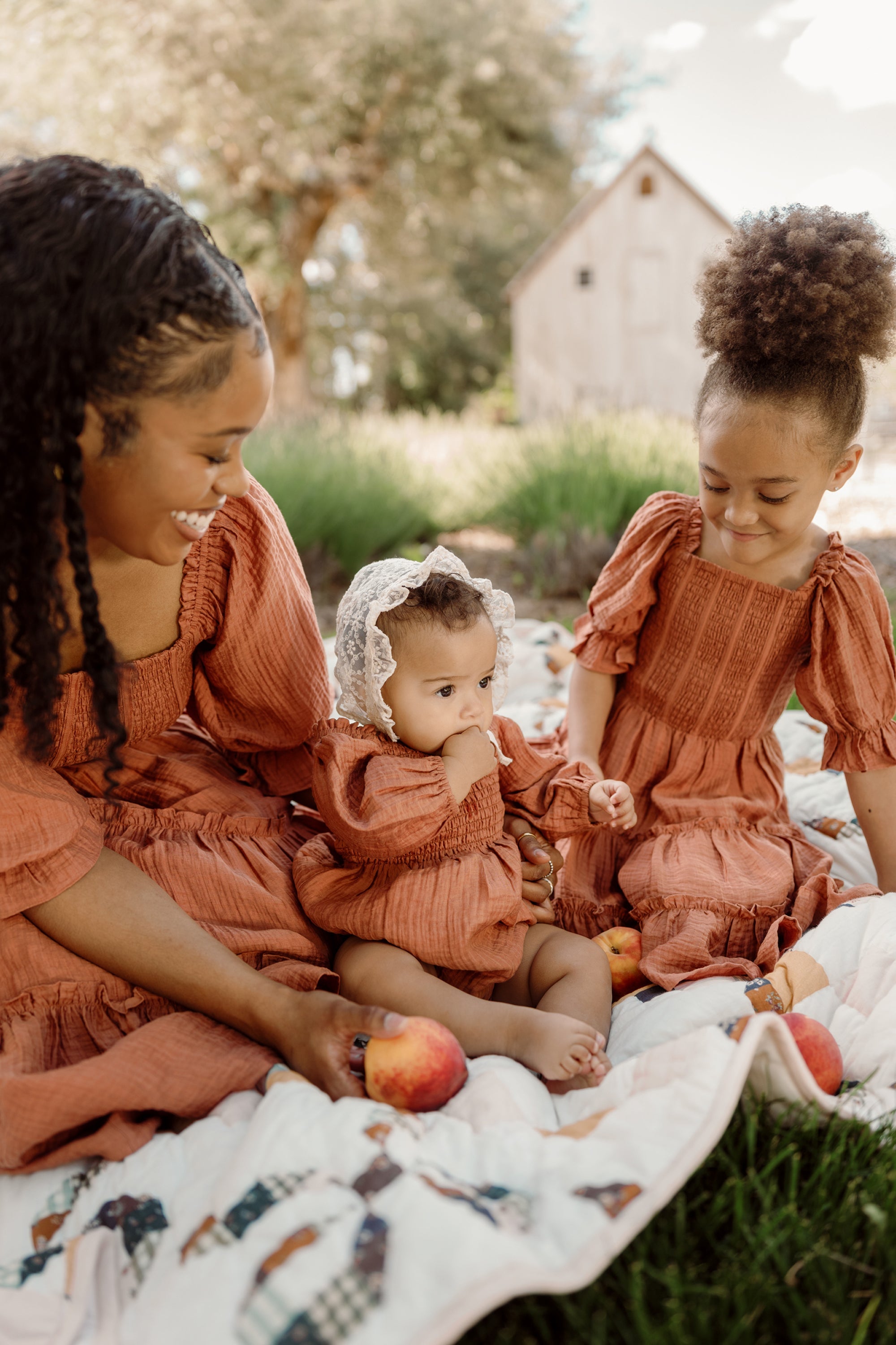 Madeline Dress in Apple Cider