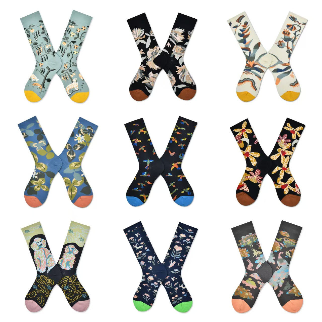 Gallery Edit Combed Cotton Crew Socks