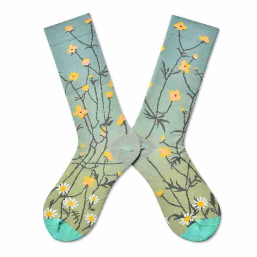 Gallery Edit Combed Cotton Crew Socks